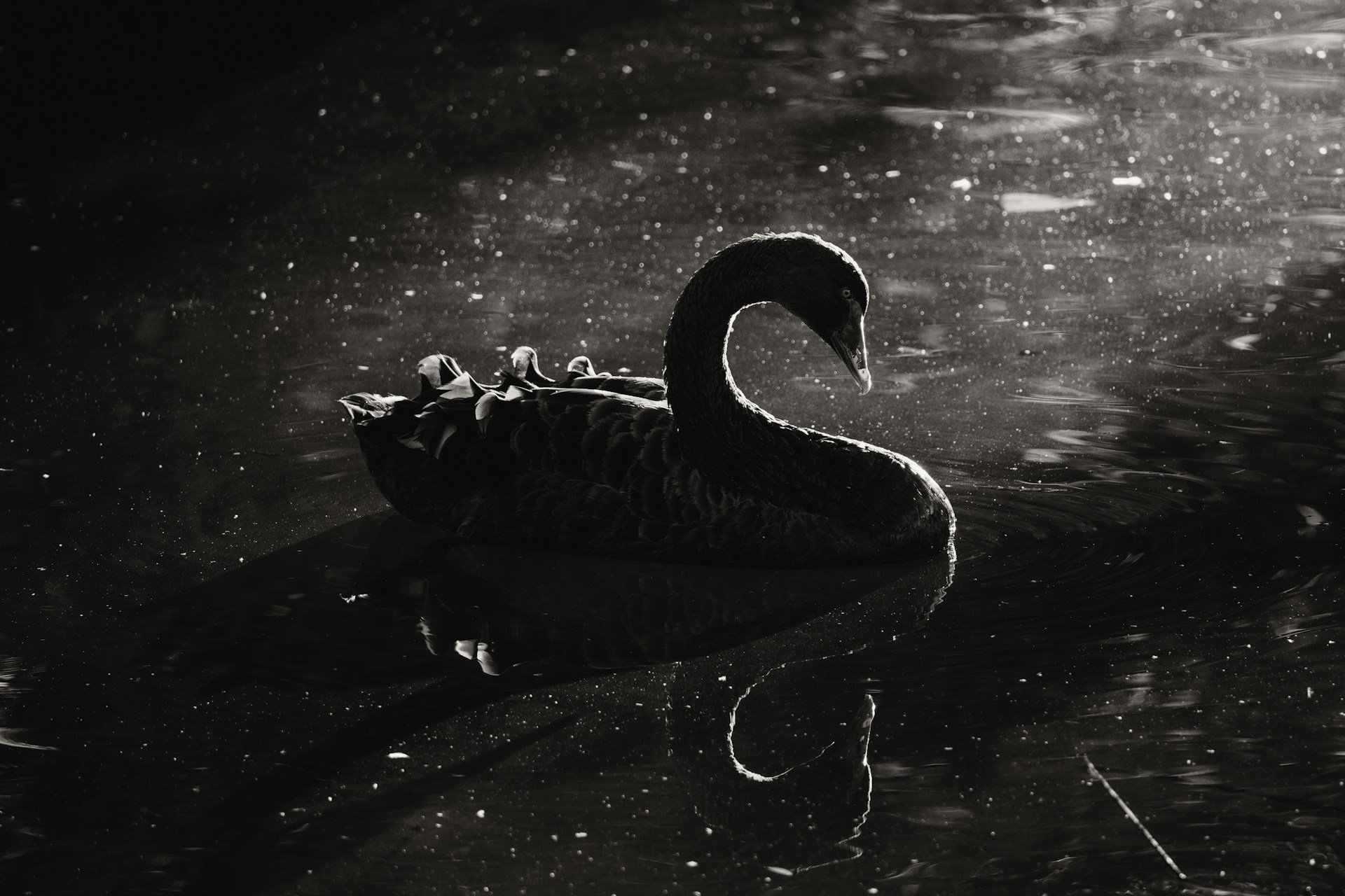 How Purpose Create Economic Resilience