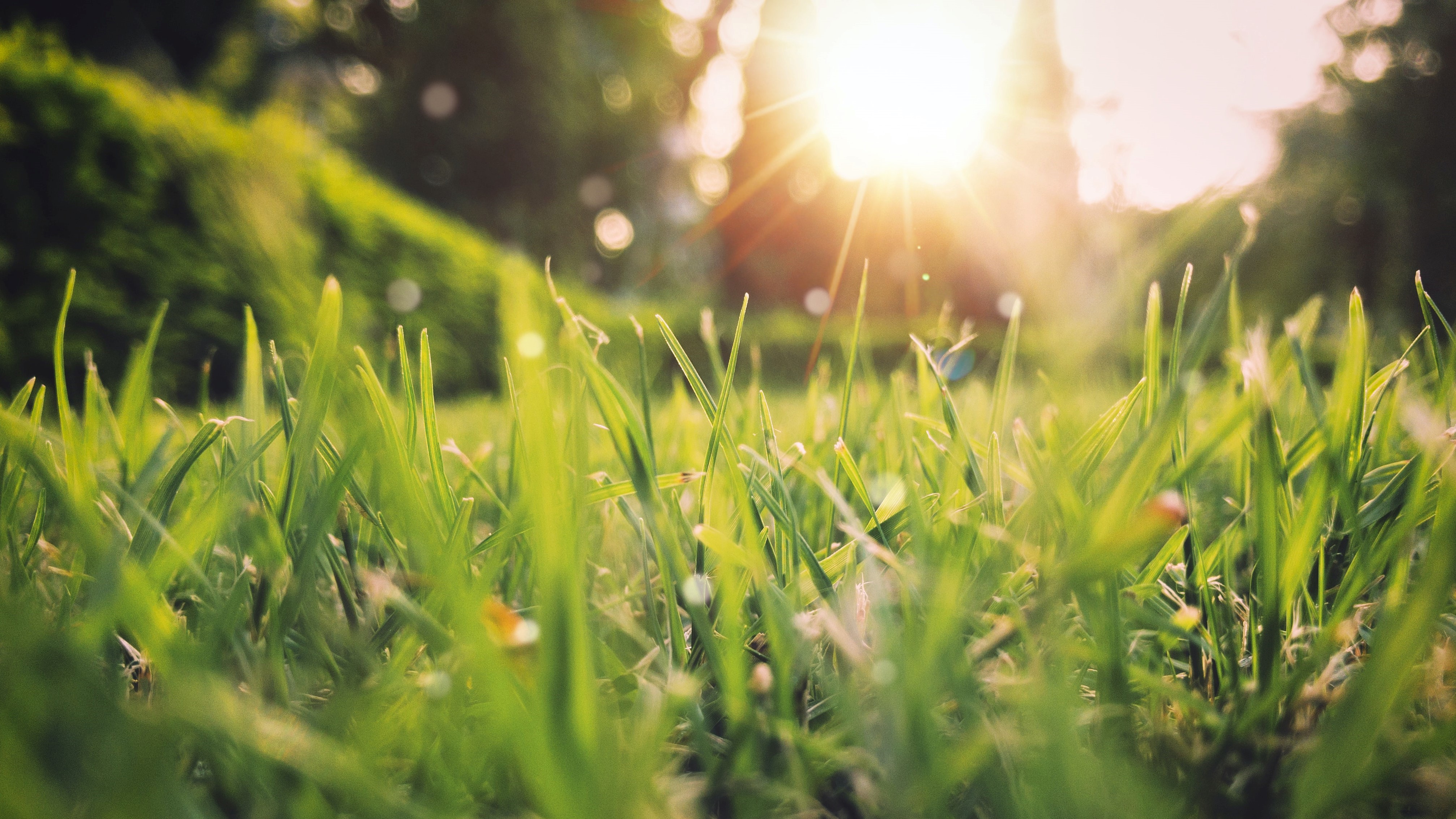 Ecrire des tests avec Spring Boot 1.4