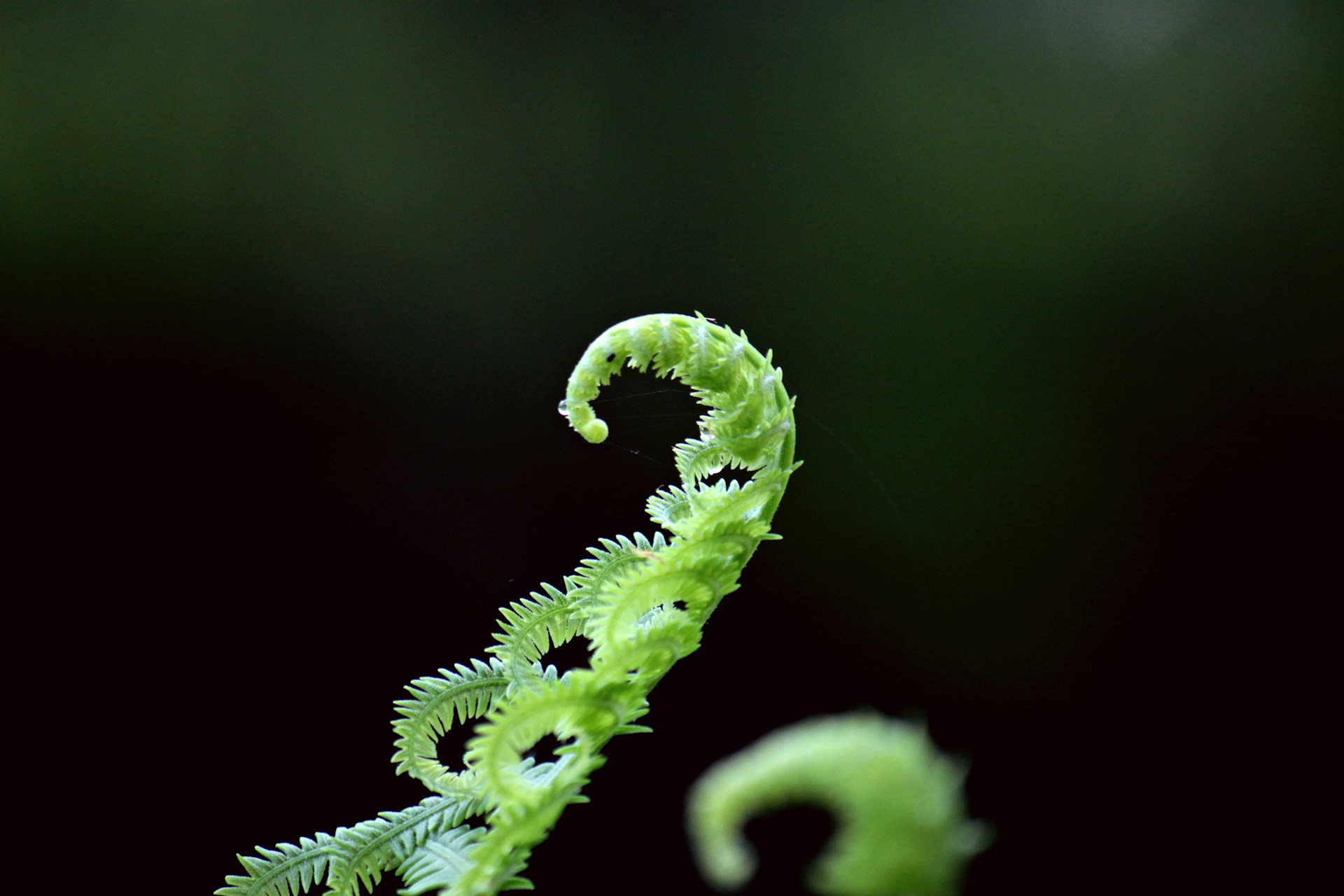 ESTEMPLE* Analysis: A Comprehensive Framework for Environmental Scanning