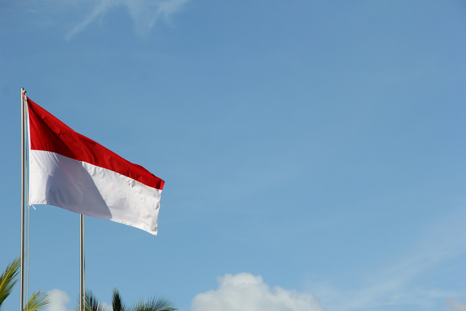 Leading Across Cultures: Navigating Cross-Cultural Leadership Challenges in Indonesia