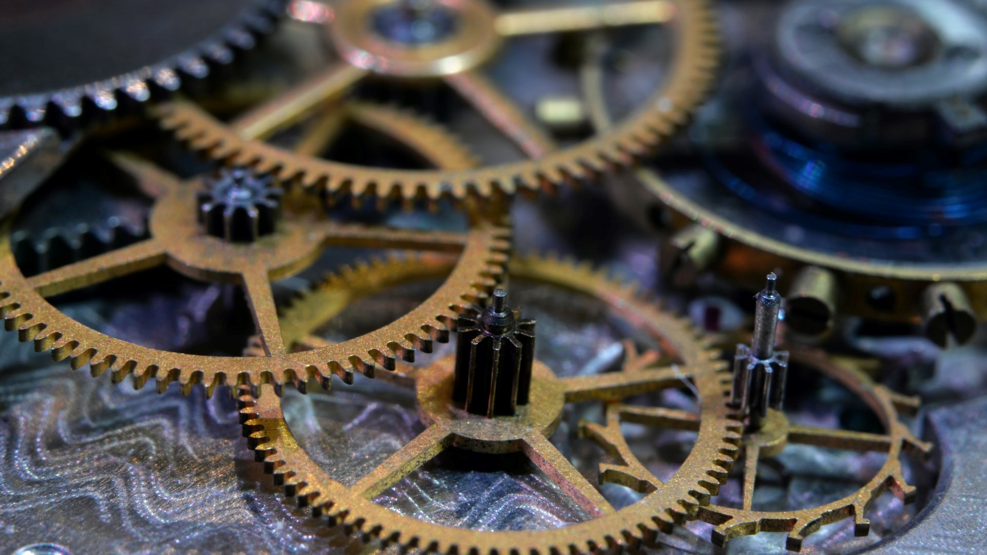 Operational Excellence in High-Growth Environments: A Case Study on Scaling Without Losing Value
