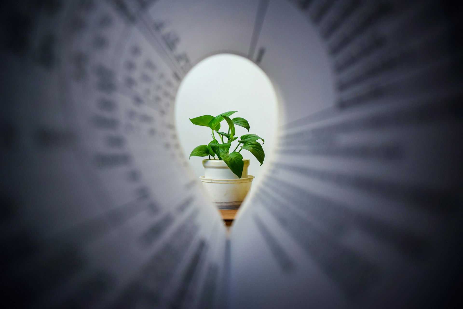 Purpose Meets Profit: Insights from Emerging Social Entrepreneurs in Toronto